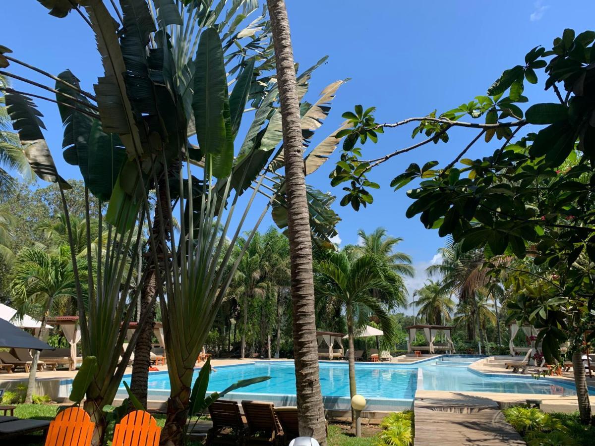 Mafia Hotel Coucoue Lodge מראה חיצוני תמונה